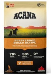 Acana pienso para cachorros de raza grande