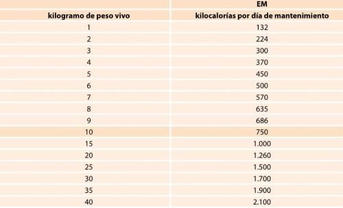 Requerimiento comida para perros