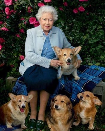 Perro junto a la reina Isabel segunda