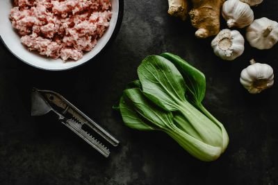 Comida natural para perros