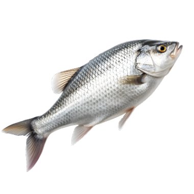 pienso sabor pescado para perros