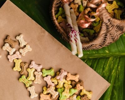 Tipos de comida para perro snacks